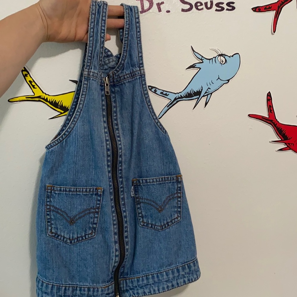Levi 3t Jean dress